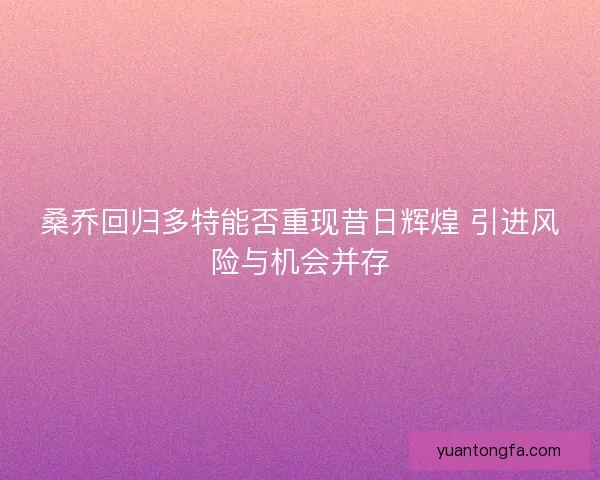 桑乔回归多特能否重现昔日辉煌 引进风险与机会并存